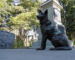 Animals in War Memorial, Ottawa httpsuploadwikimediaorgwikipediacommonsthu