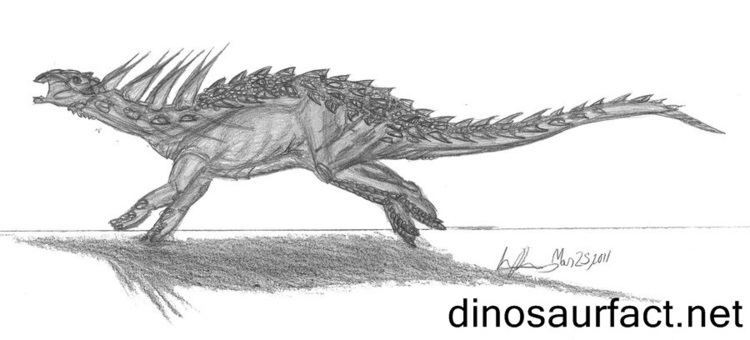 Animantarx Animantarx dinosaur