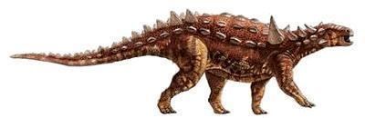 Animantarx Ankylosaurus casts replicas dinosaurs