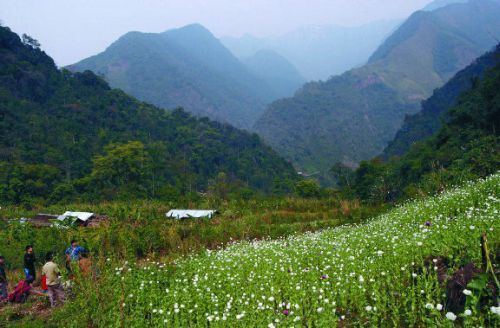 Anjaw district Opium valley