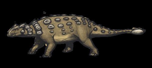 Ankylosauridae Ankylosauridae Wikiwand