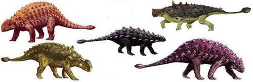 Ankylosauridae Ankylosauridae