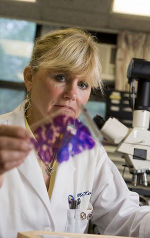 Ann McKee MED Researchers to Share 6 Million NIH Grant for CTE BU Today