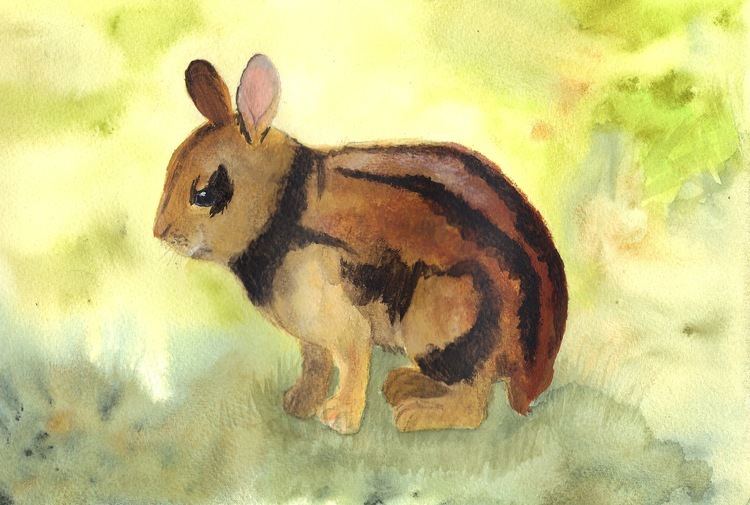 Annamite striped rabbit ANNAMITE STRIPED RABBIT rarelypainted