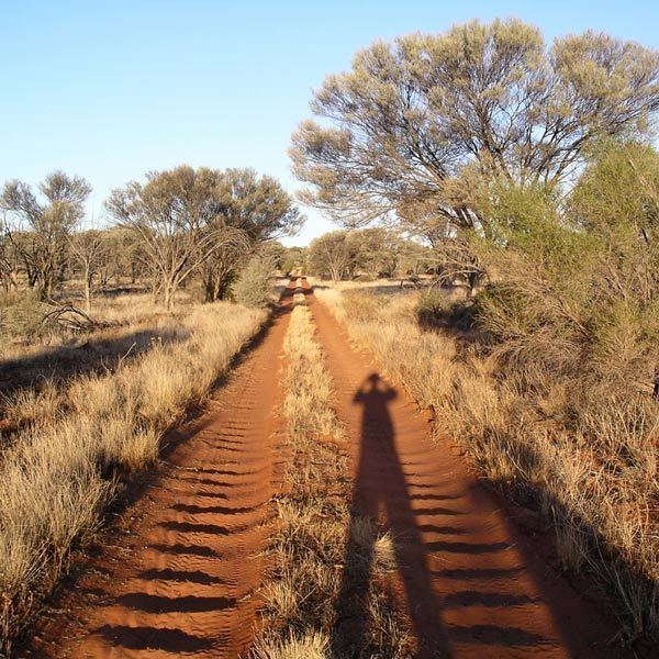 Anne Beadell Highway Friends of the Great Victoria Desert About the GVD