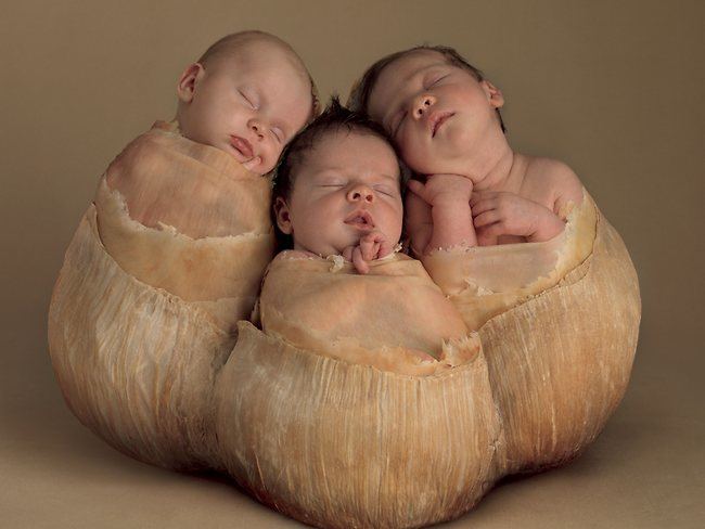 Anne Geddes Anne Geddes The Photographer Who Put Babies In Flower Pots Is