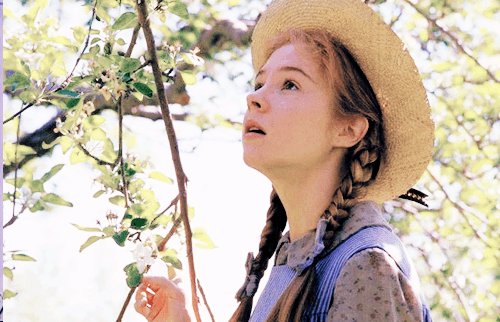 Anne Shirley Funky MBTI in Fiction Anne of Green Gables Anne Shirley ENFP