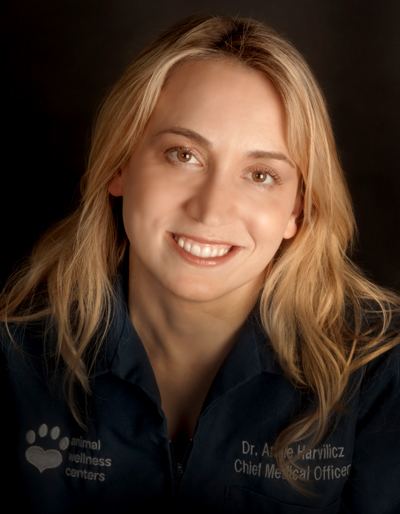 Annie Harvilicz gregorymancusocomwpcontentuploads201212los