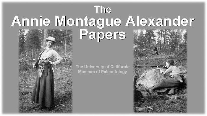 Annie Montague Alexander Annie Montague Alexander Papers