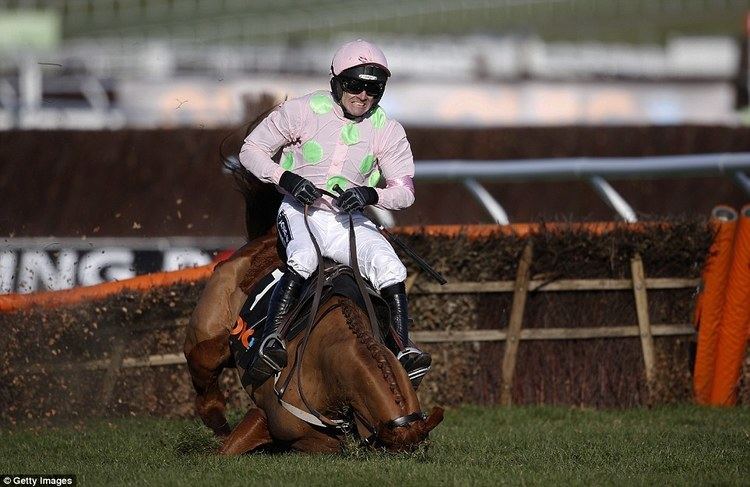 Annie Power Annie Power falls at the last hurdle to deny Ruby Walsh a Cheltenham