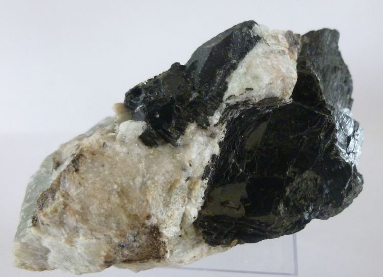 Annite Annite For Sale eRocks Mineral Auctions