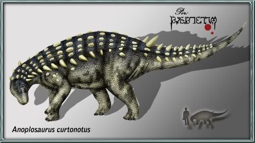 Anoplosaurus imagesdinosaurpicturesorgAnoplosauruskarkemish