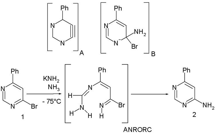 ANRORC mechanism