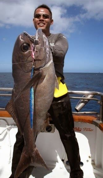 Antarctic butterfish Big Fishes of the World ANTARCTIC BUTTERFISH Hyperoglyphe antarctica