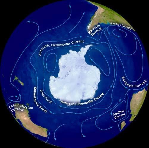 Antarctic Circumpolar Current - Alchetron, The Free Social Encyclopedia