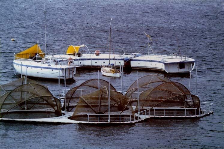 Antarctic Technology Offshore Lagoon Laboratory