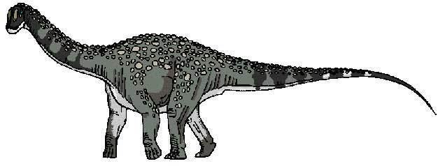 Antarctosaurus Antarctosaurus wichmannianus amp giganteus