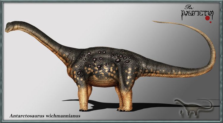 Antarctosaurus antarctosaurus DeviantArt