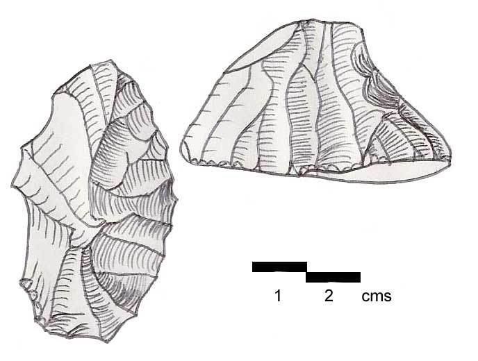 Antelian