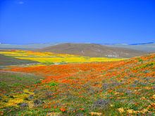 Antelope Valley httpsuploadwikimediaorgwikipediacommonsthu