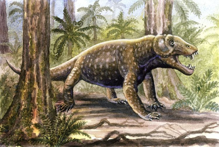 Anteosaurus anteosaurus DeviantArt