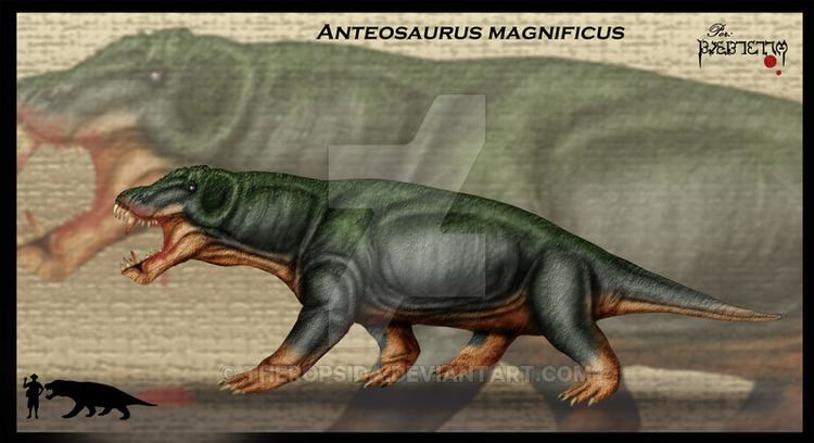 Anteosaurus anteosaurus DeviantArt