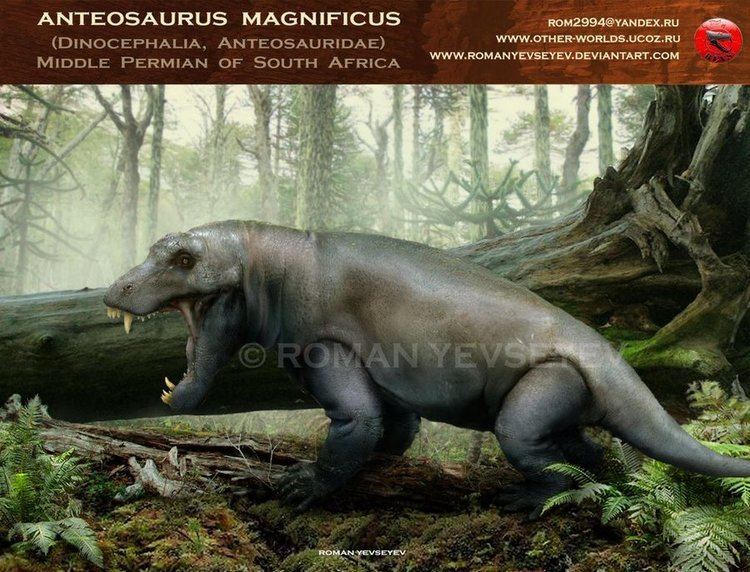 Anteosaurus Anteosaurus magnificus by RomanYevseyev on DeviantArt