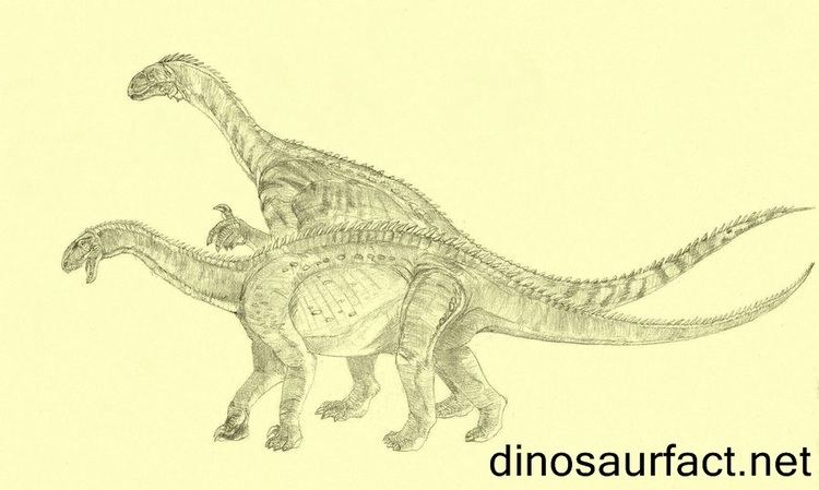 Antetonitrus Antetonitrus dinosaur