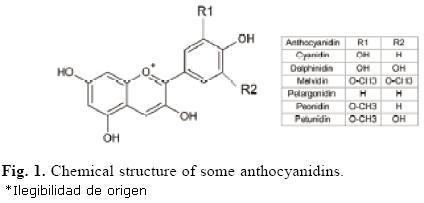 Anthocyanin Molecular Biology of Chili Pepper Anthocyanin Biosynthesis