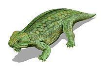 Anthodon (reptile) httpsuploadwikimediaorgwikipediacommonsthu
