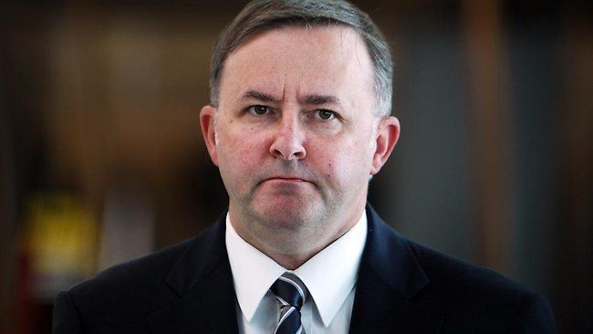 Anthony Albanese Anthony Albanese39s support throws Kevin Rudd a lifeline in
