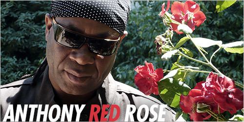 Anthony Red Rose Reggaefrancecom Interview Anthony Red Rose