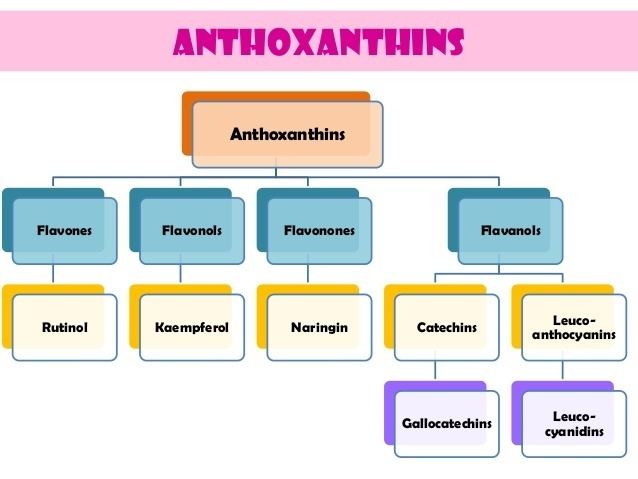 Anthoxanthin Fruits amp vegetables