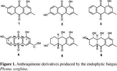 Anthraquinone Novel anthraquinone derivatives produced by Phoma sorghina an