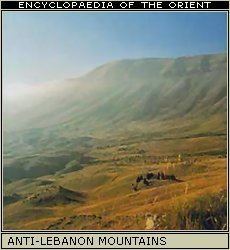 Anti-Lebanon Mountains looklexcomeoillantilebanonmt01jpg