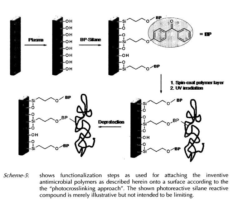Antimicrobial polymer Patent EP2471827A1 Covalently attached antimicrobial polymers