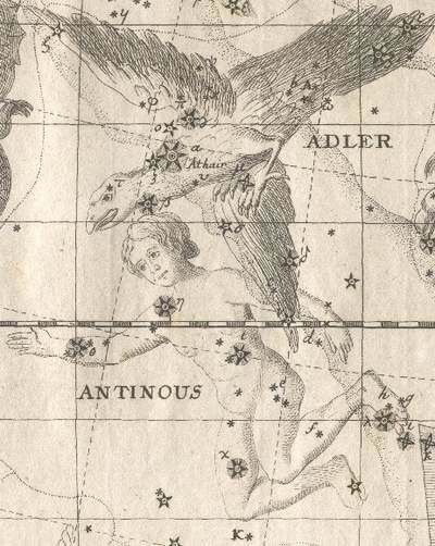 Antinous (constellation)