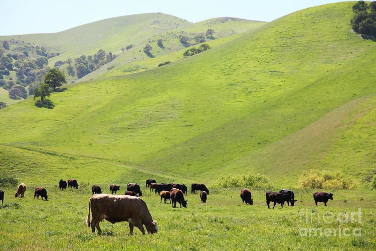 Antioch, California Beautiful Landscapes of Antioch, California