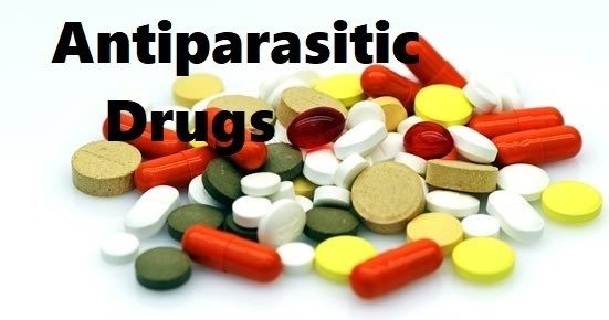 Image result for Antiparasitic