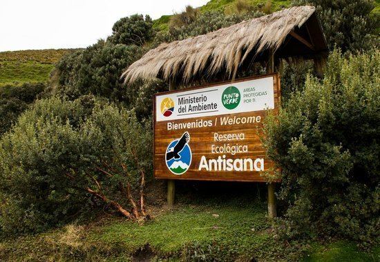 Antisana Ecological Reserve Antisana Ecological Reserve Bild von Antisana Ecological Reserve