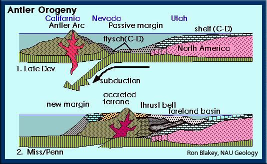 Antler orogeny Involvement of Antler Orogeny Structure of Devonian Coast Alamo