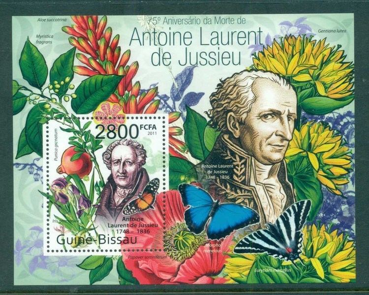 Antoine Laurent de Jussieu Flora Stamp Mall by Steve Fletcher Stamp Collecting
