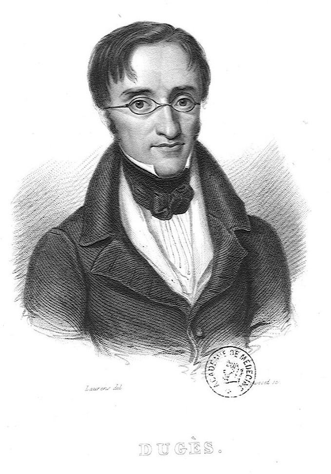 Antoine Louis Duges