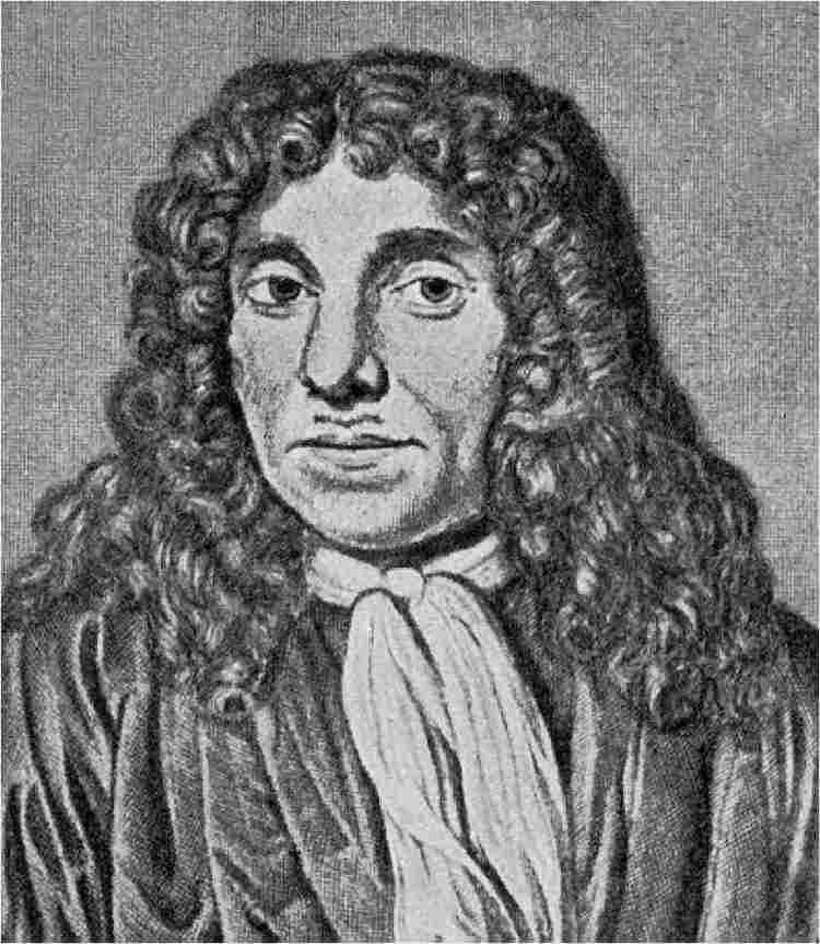Antonie van Leeuwenhoek Anton van Leeuwenhoek The Greatest Science Discoveries