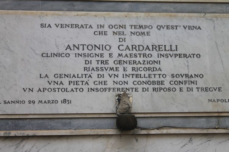 Antonio Cardarelli Antonio Cardarellis tomb Himetop