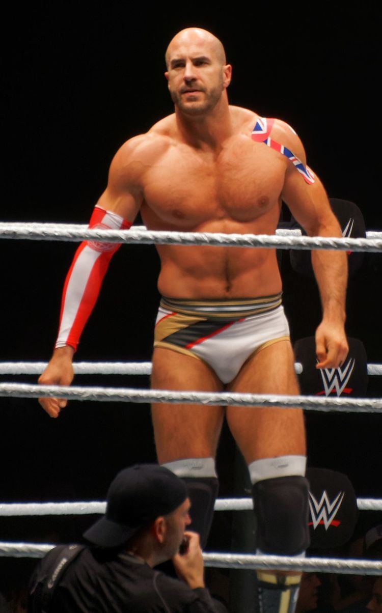 Cesaro (wrestler) httpsuploadwikimediaorgwikipediacommonsthu