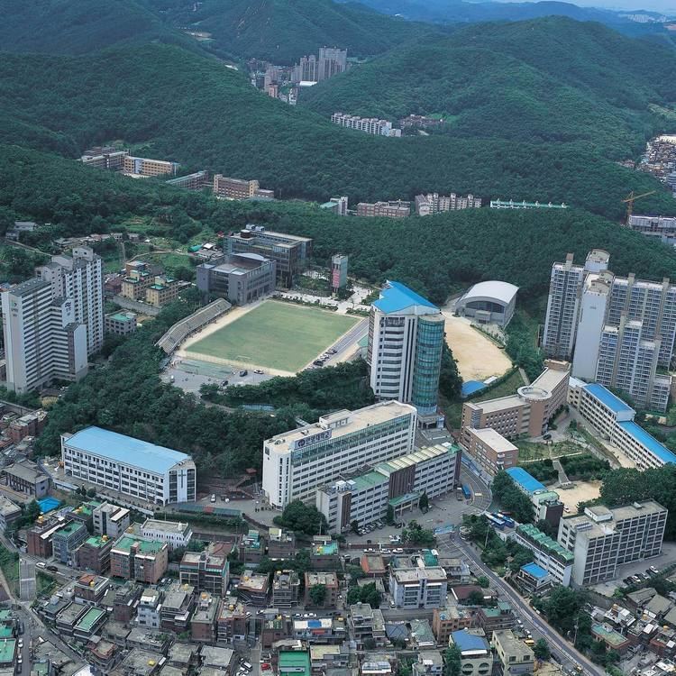 Anyang University