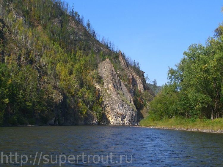Anyuy River (Khabarovsk Krai) httpssupertroutrud705934dCIMG1804JPGjpg
