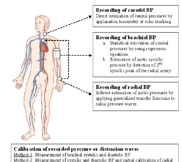 Methods for the estimation of central blood pressures (BP) In ...