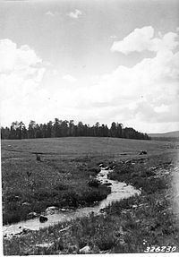 Apache National Forest httpsuploadwikimediaorgwikipediacommonsthu